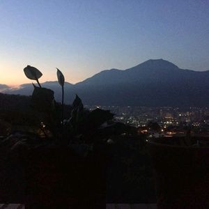 Meet your Posher, Jes